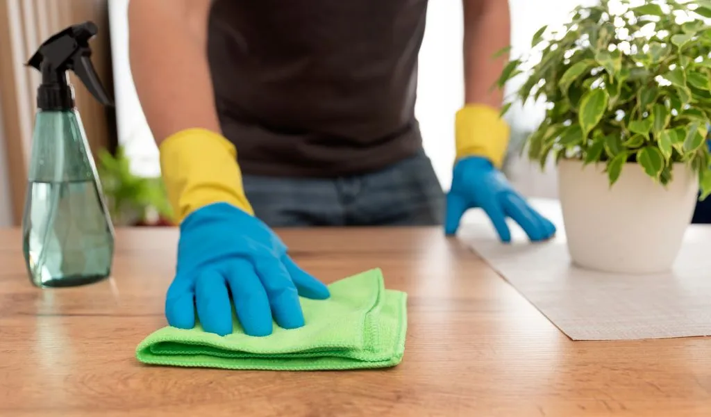 Recurring House Cleaning
